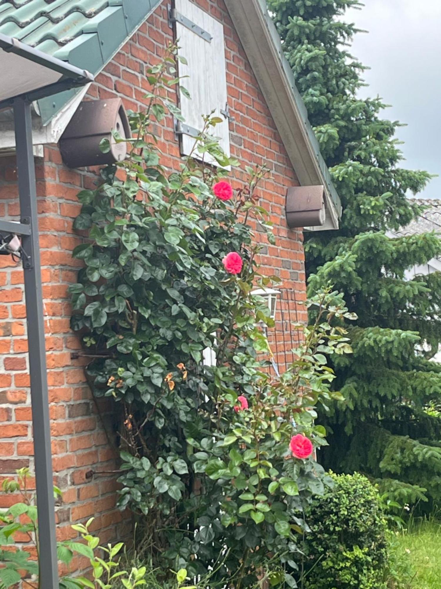 Gartenzimmer Zwischen Den Meeren Ladelund Esterno foto